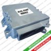 PEUGE 193805 Control Unit, fuel injection